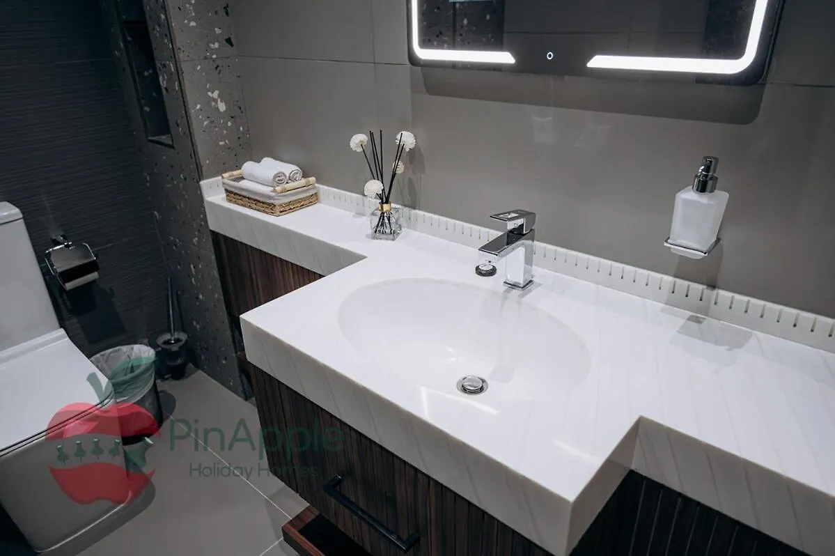 Royal Style New 1Br With A View Apartment Dubai