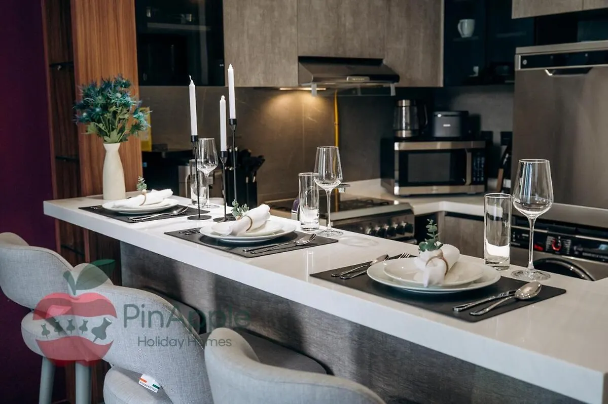 Royal Style New 1Br With A View Apartment Dubai United Arab Emirates